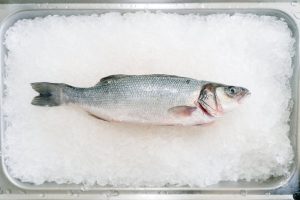 Cum contribuie bibanul de mare australian la sustenabilitate cu un impact pozitiv asupra mediului și gastronomiei